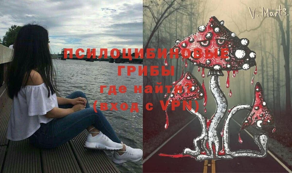 мдма Лагань