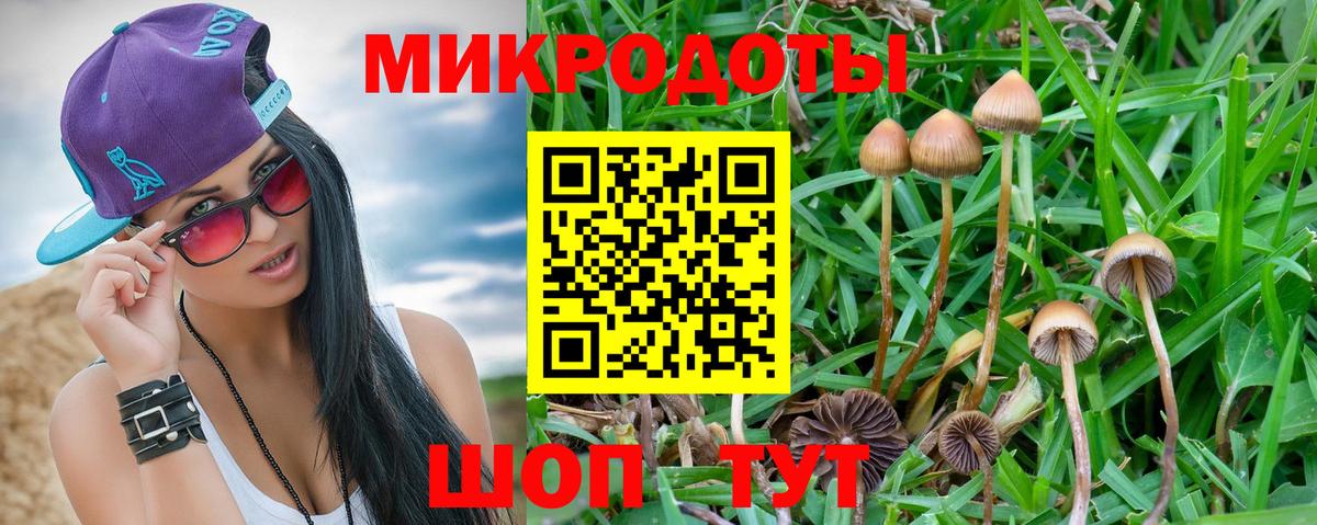 Чистополь  Галлюциногенные грибы Psilocybine cubensis  Псилоцибиновые грибы прущие грибы  Вход с VPN 