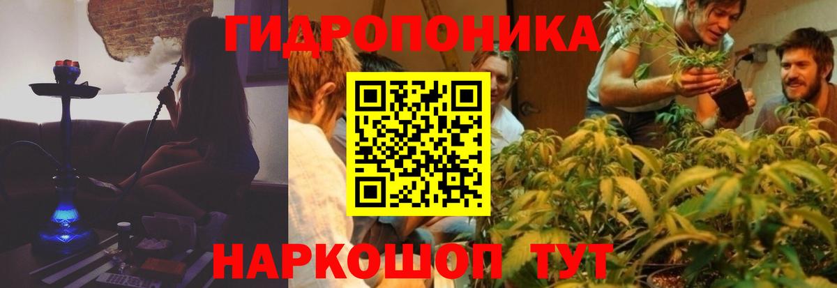 Марихуана тримм  Каннабис индика  Чистополь  Вход с VPN  Шишки марихуана семена 